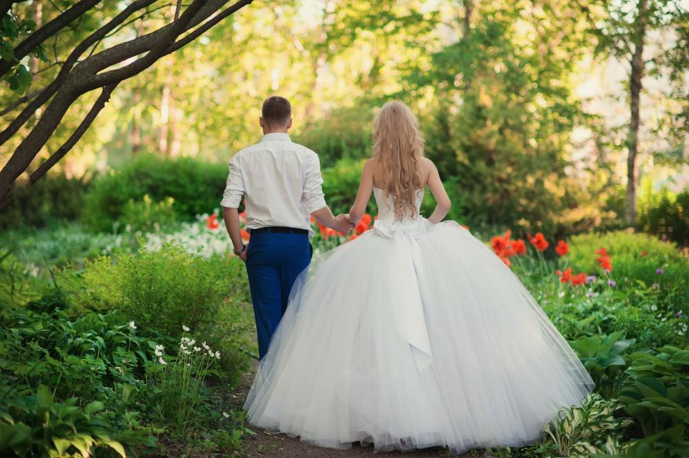 What Should I Look for When Comparing Wedding Insurance Policies?